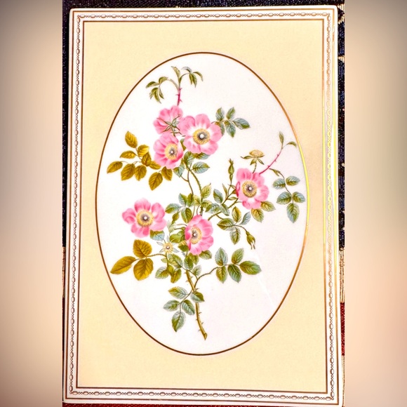 The Royal Worcester Rose Collection Sweet Briar Rose 1988 Frame Bone China - Picture 1 of 3